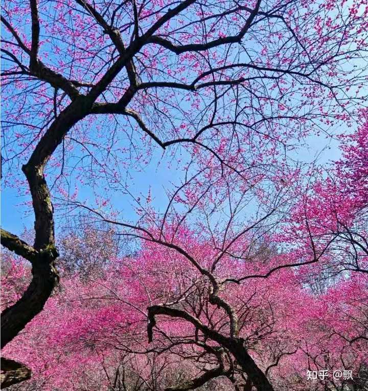 在杭州春天到哪里玩比较好，不花钱的？
春天到哪里玩，不要花很多钱，还可以玩的好的