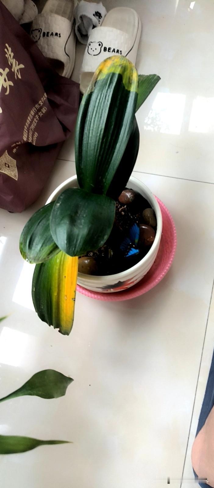 真心建议：
再热也别硬扛！
开空调睡觉，
其实是在保护身体
很多人觉得，
开空调