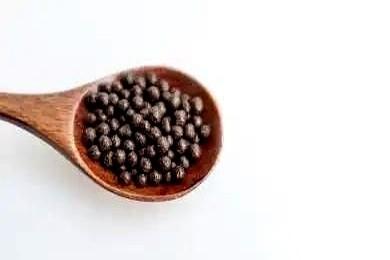 我跟你讲，很多人都掉进一个坑里了。
天天喊着要补肾，结果越补人越虚，钱花了一堆，