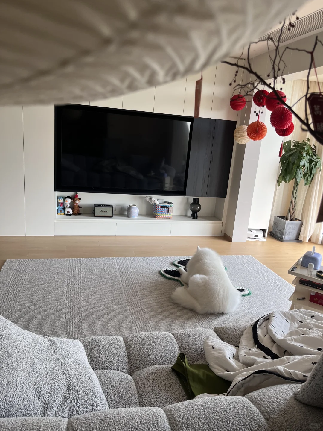 有小狗的家才是Dream house❣️
