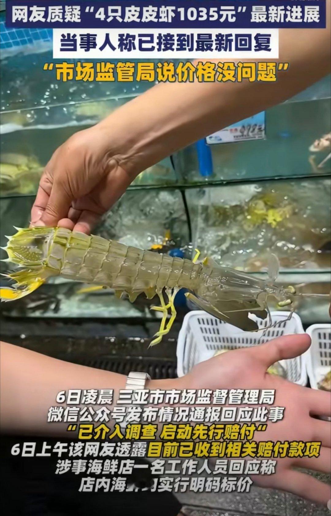 市监局称4只皮皮虾1035元价格合规小只的才是皮皮虾，这种手臂大小的就是富贵虾了