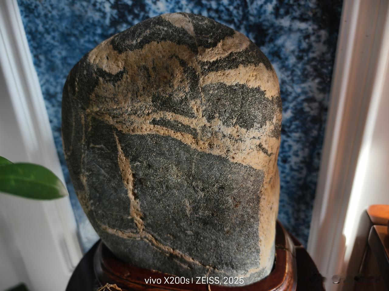 今天最大的收获是在一卖破烂的地方买了一块石头，画面感挺强，看着像泰山石。