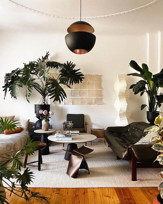 Ins博主Igorjosif“绿野仙踪”植物家🏡