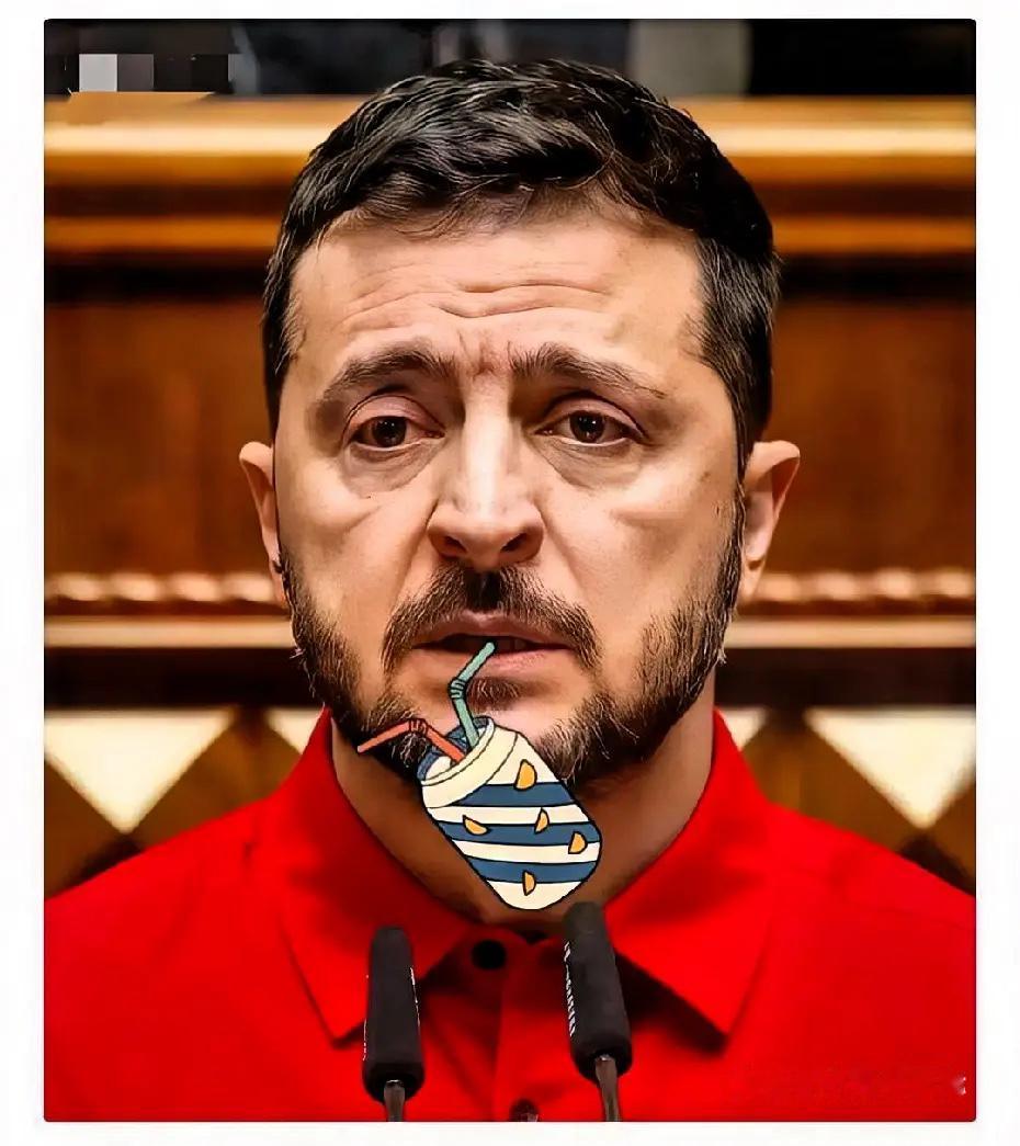 乌克兰消息

12月4日，乌克兰外长瑟比加在布鲁塞尔北约会议期间表示，有五个北约