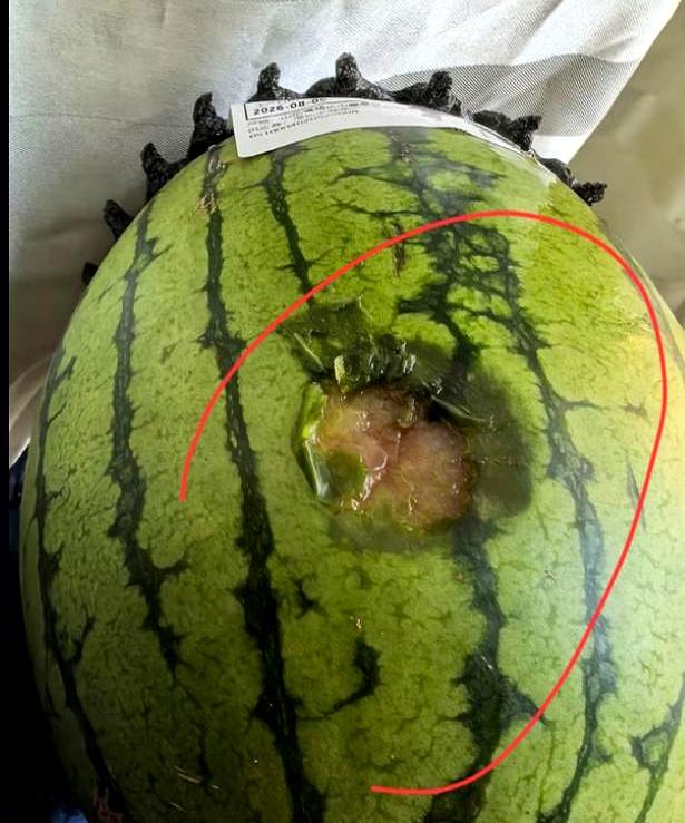 就因为花一块钱买个西瓜，我被老公劈头盖脸数落了半天，非说我馋得没边儿了！
昨天路
