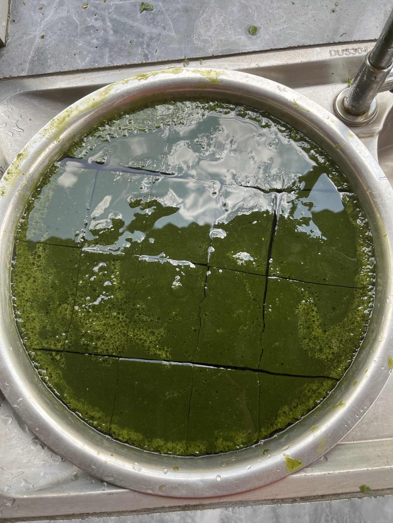 今年最舍不得删的照片有人知道这个是什么吗？哈哈😄