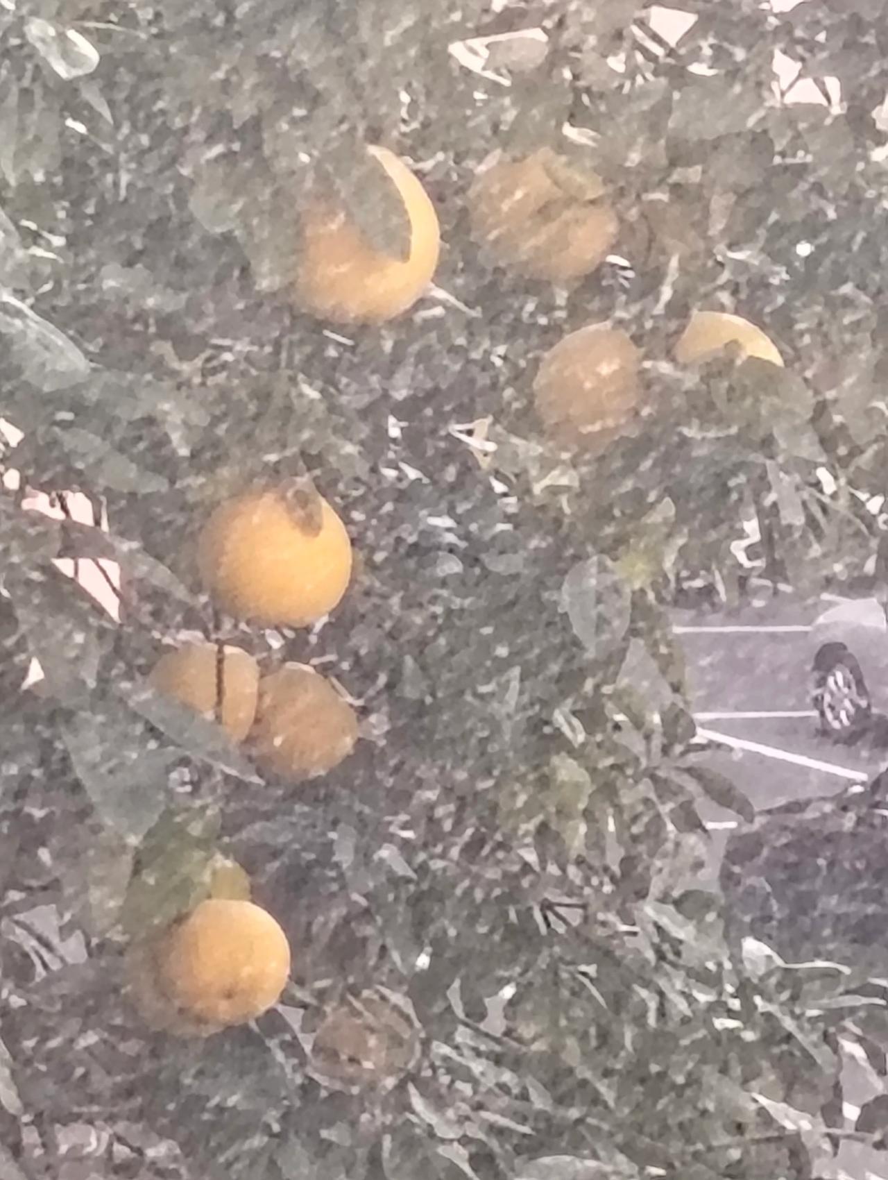 我也是这么想的，备点现金，粮食-水，照明，我老公说我想多了，我说未雨绸缪，以防万