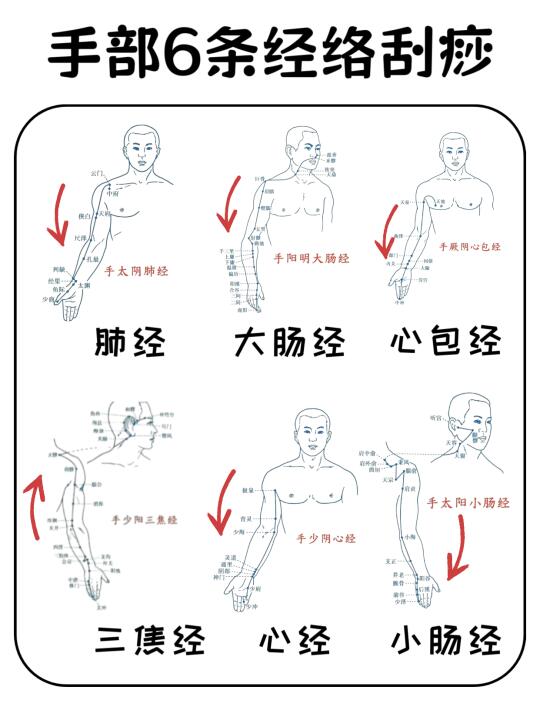 💥手臂藏6条经络！刮通秒变“轻松侠”