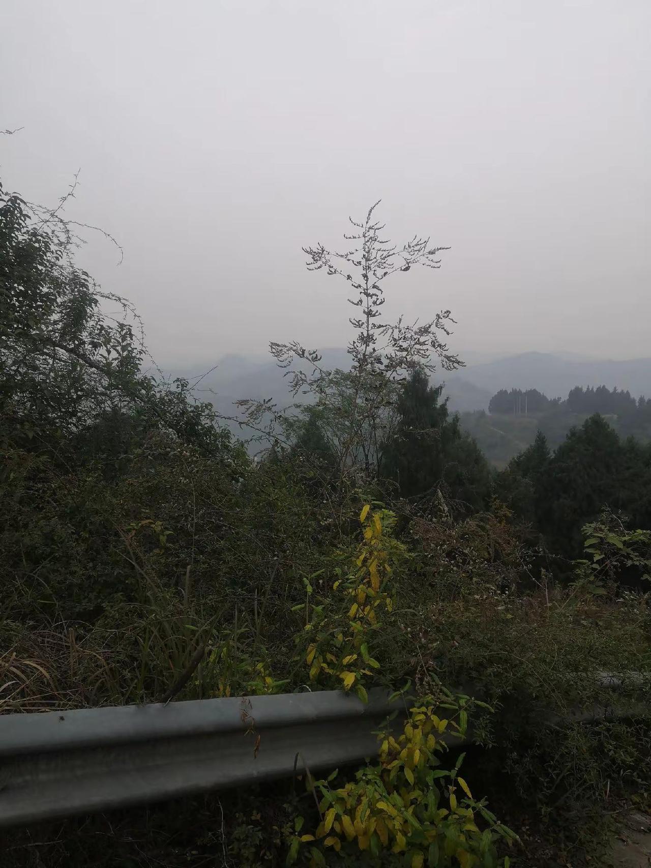 大山深处，美丽的风景大山深处的自然风景 山水美景 美丽的乡村风景 看日出的好地方