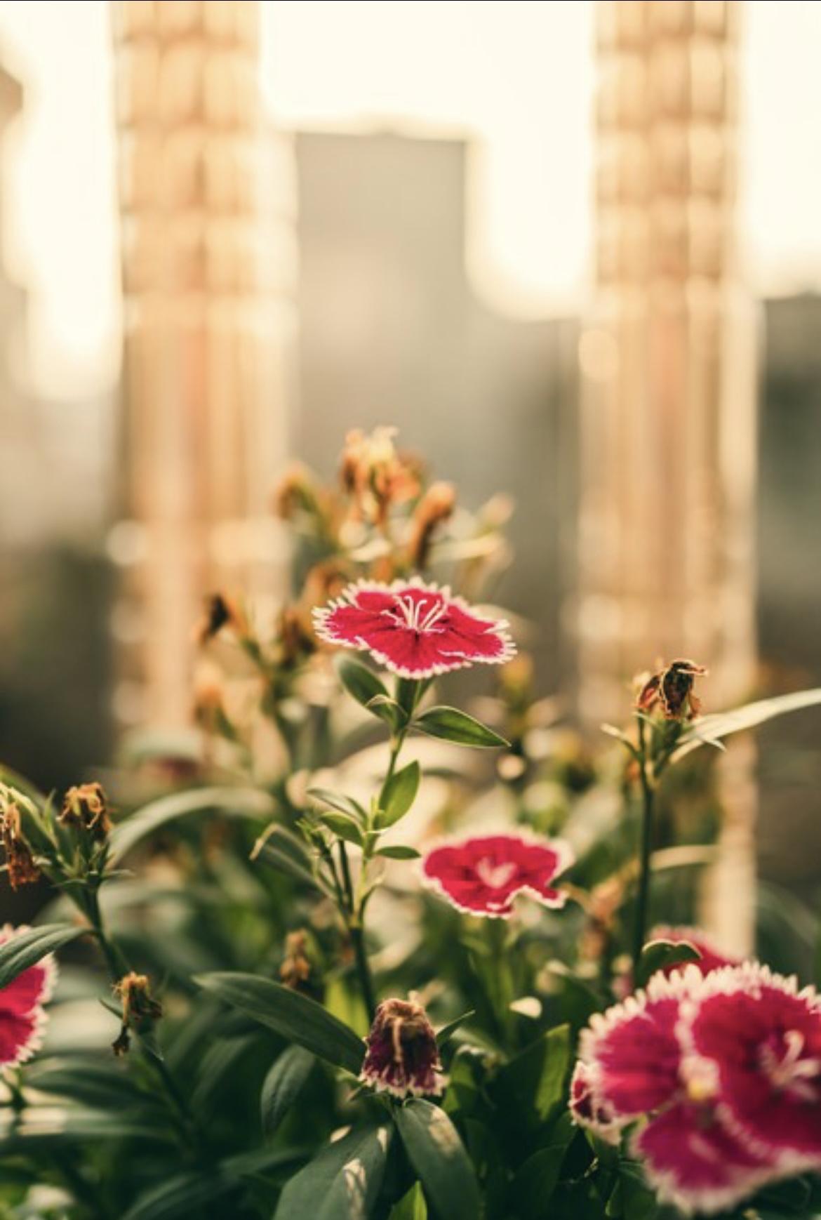 人生大半的疲惫与烦恼，说到底，不过是三个字：想太多。

我们总习惯性内耗，为还未