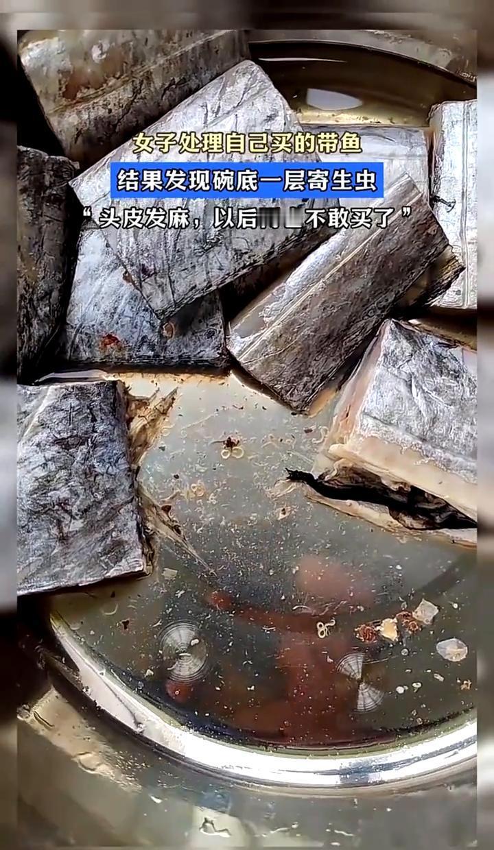 看得我头皮都要炸开了！
本来想美滋滋做顿红烧带鱼，结果一洗碗底全是蠕动的“加餐”
