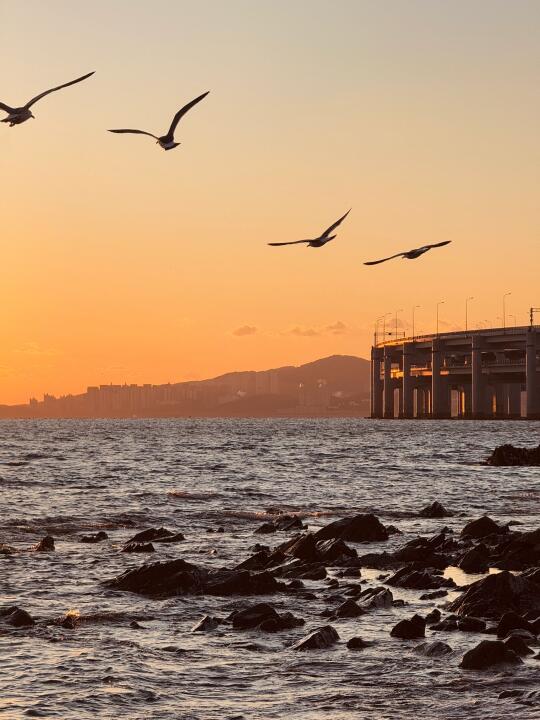 1.15live实况属于大连的lalaland…日落浪漫