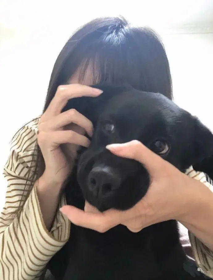 狗：你是不是认错了哈哈哈搞笑图片梗图合集