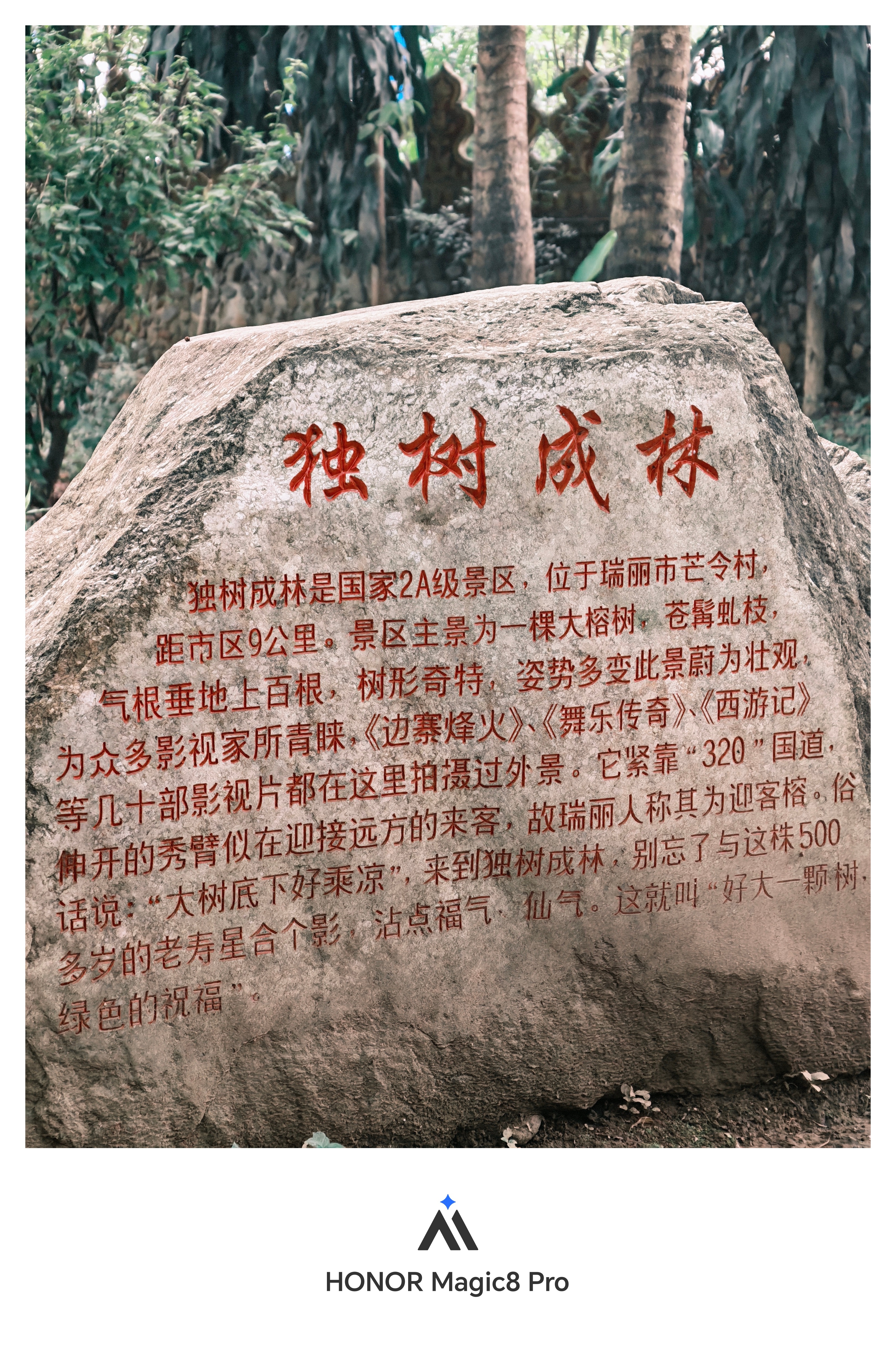 来到了西游记的取景地拍了几张帅气的人，还拍了独树成林这样张如何？手机摄影 来取照