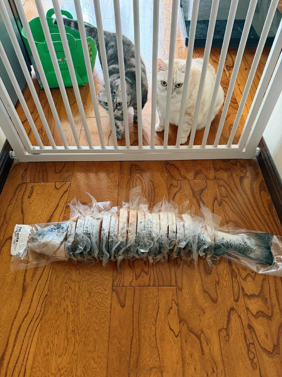莫名其喵  不到300买了一整条分切的三文鱼，为健身事业添砖加瓦。 