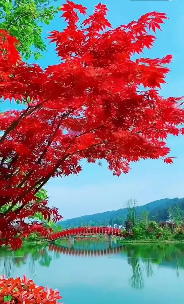 天生适合当领导的人，都有这6个藏不住的特质 
 
1. 遇事稳得住，天塌下来先解