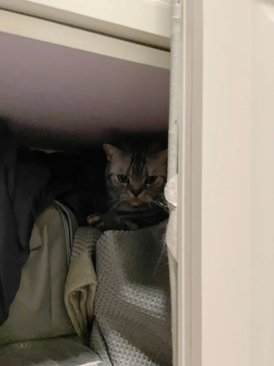 好好好，躲猫猫是吧？