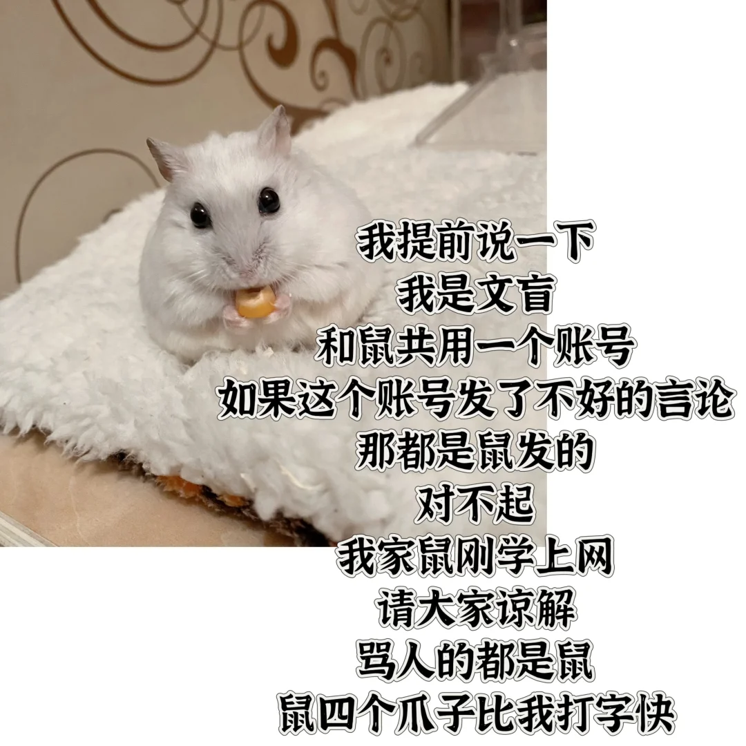 我提前说一下