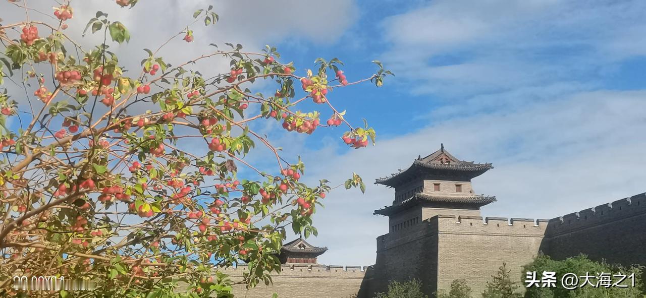 秋意渐浓（首发原创）
#秋日随日# #秋景生活随拍# #我的秋日摄影# #秋季随
