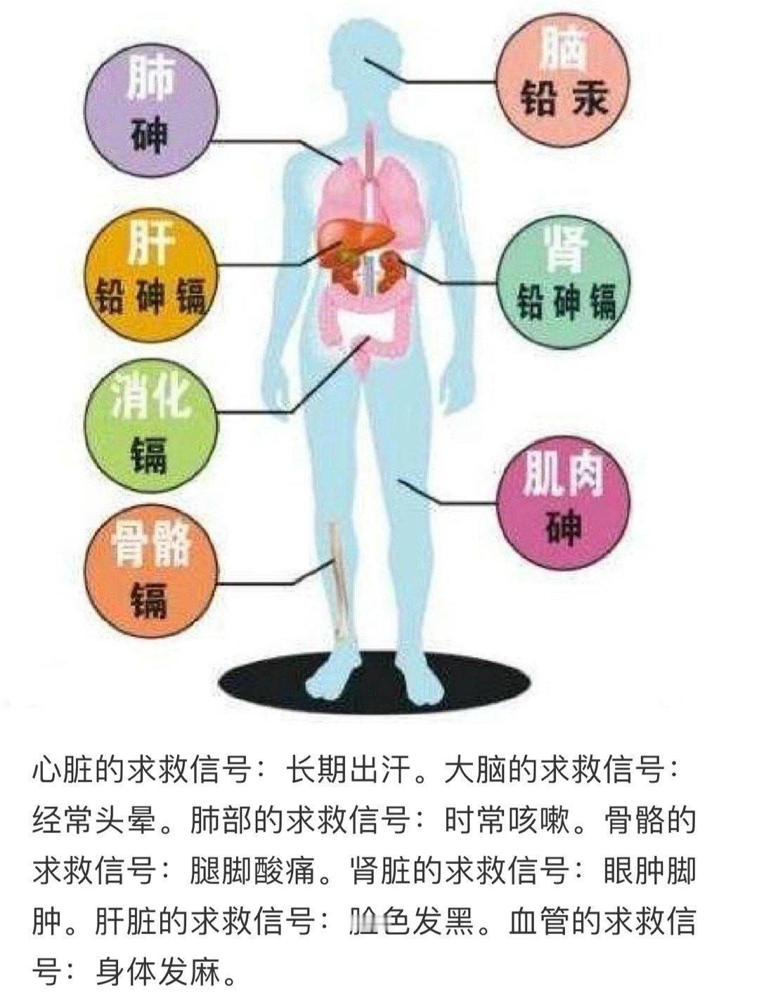 身体发出的求救信号千万要重视‼️ ​​​