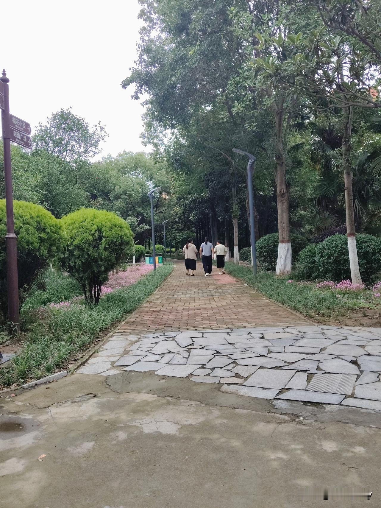 今天，91岁的老母亲腿摔伤后，做了手术，拆了线，终于可以出院了。

总体来说，伤