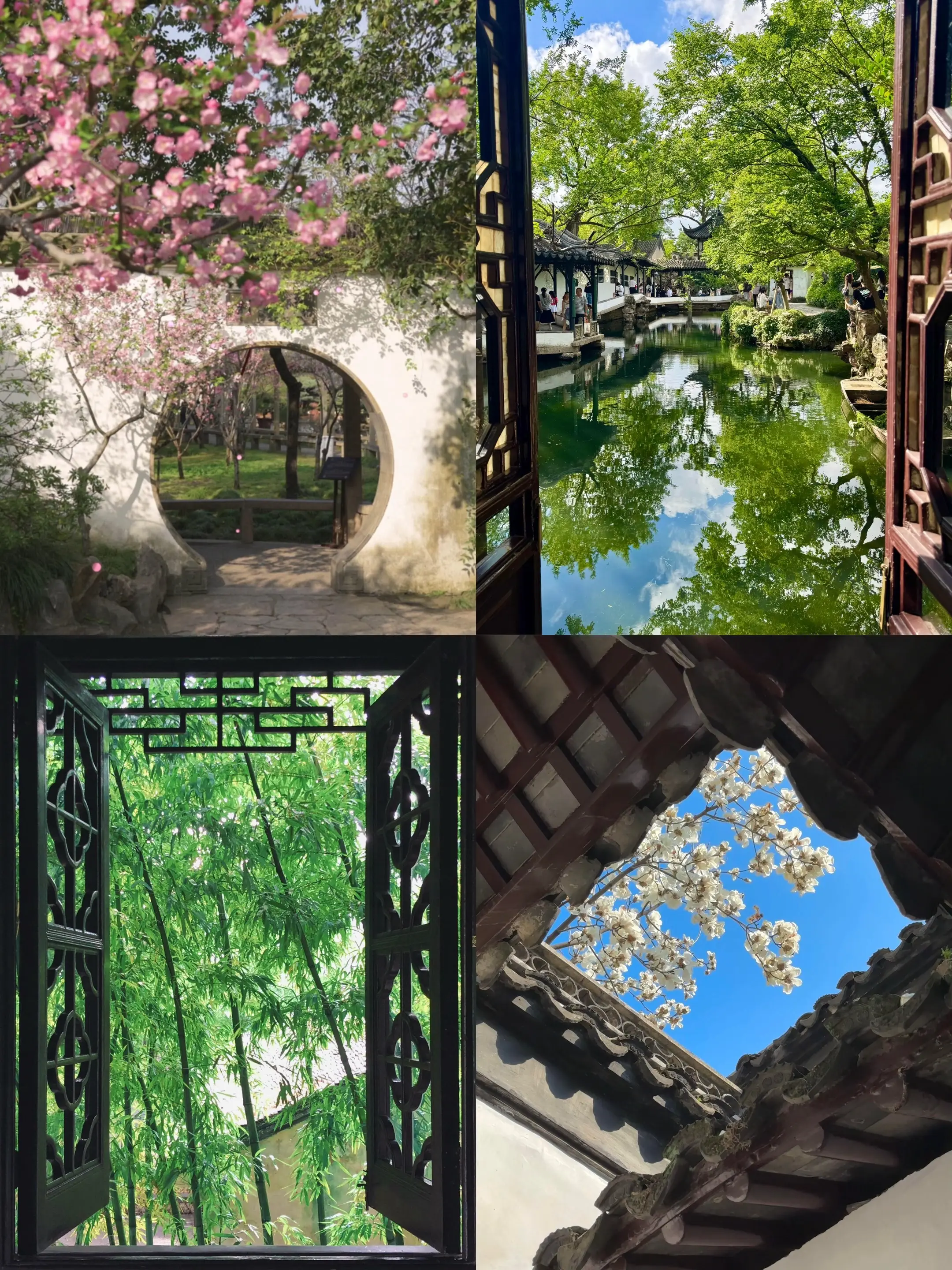苏州最值得去的四大园林，风格迥异，各有千秋