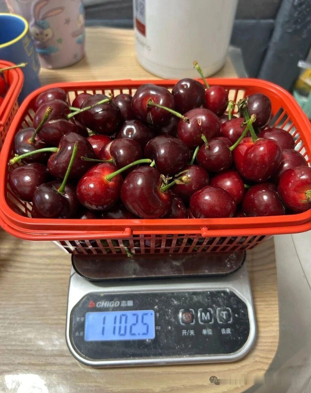 白鹿原买樱桃被骗后续，相关部门开始重视