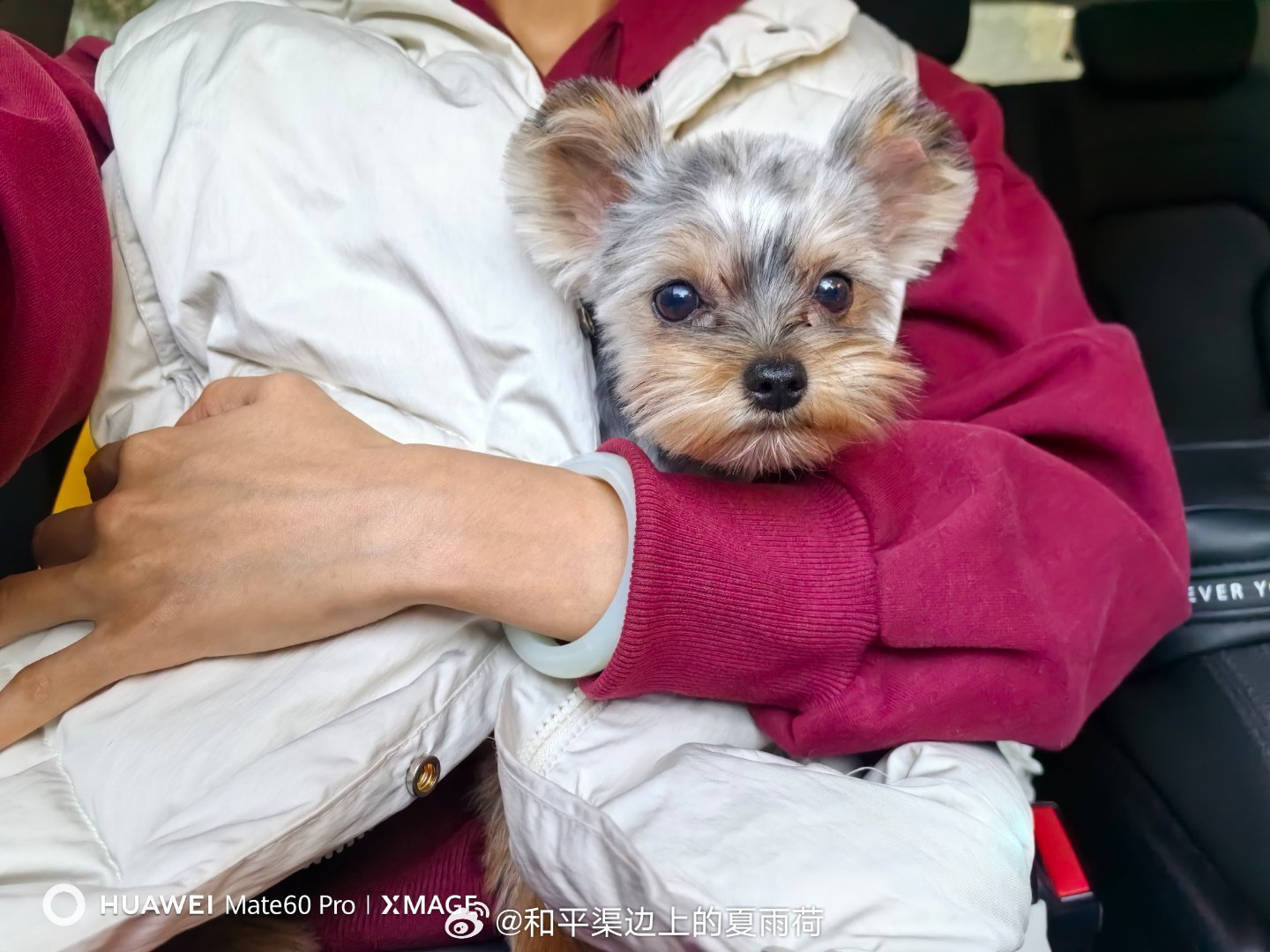 ee~舅舅们，可爱不爱[哈哈]哈哈哈哈哈哈哈[可爱]  ​​​