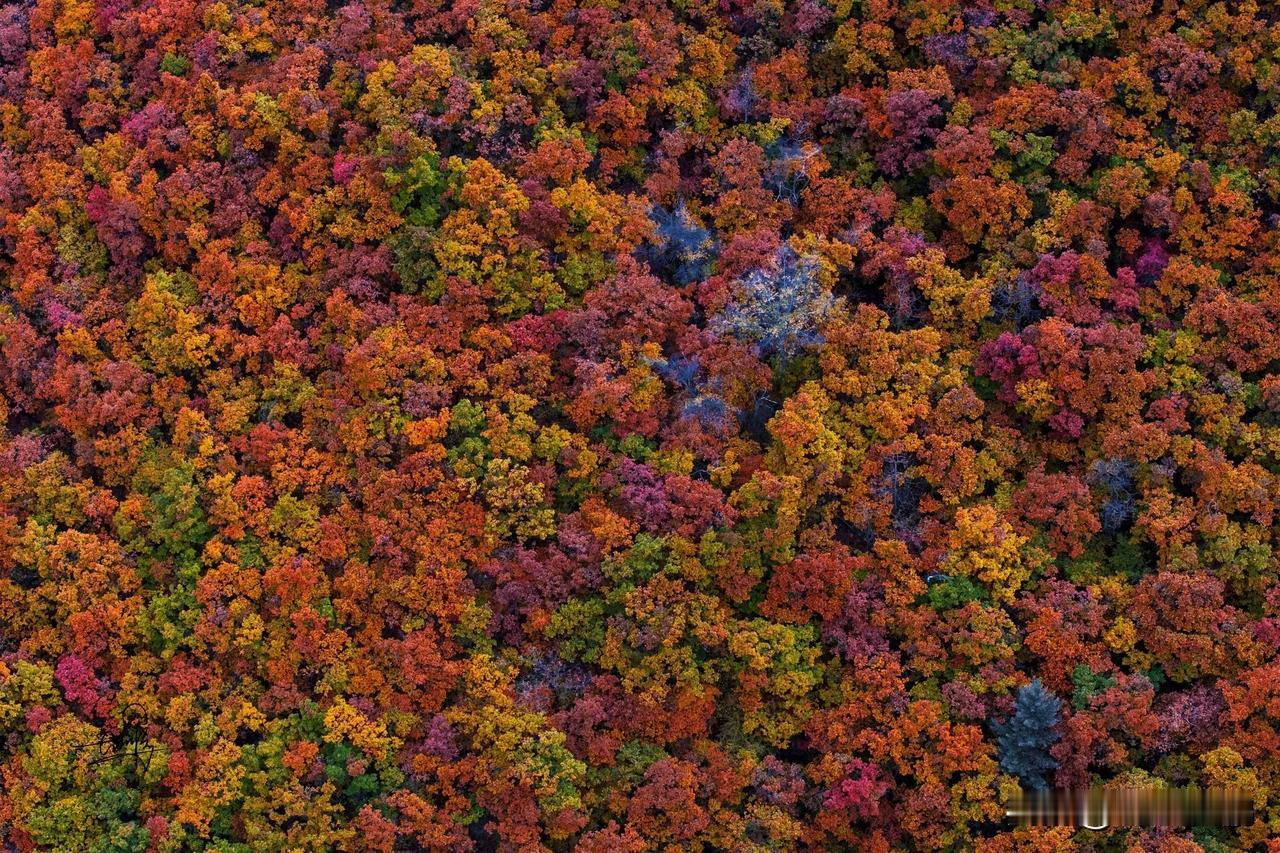 🌈榆中兴隆山 | 金秋醉美仙境

🍁“西北风光何处秀，当属榆中兴隆山”，这话