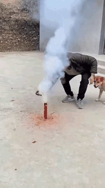 狗子:不给我骨头吃，你们都别想吃好！