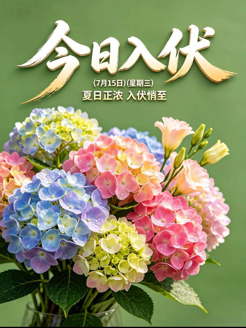 🌺2026./7月15日，伏天存恬淡，平和度盛夏🌺

🌿☀️晓光微亮入伏天