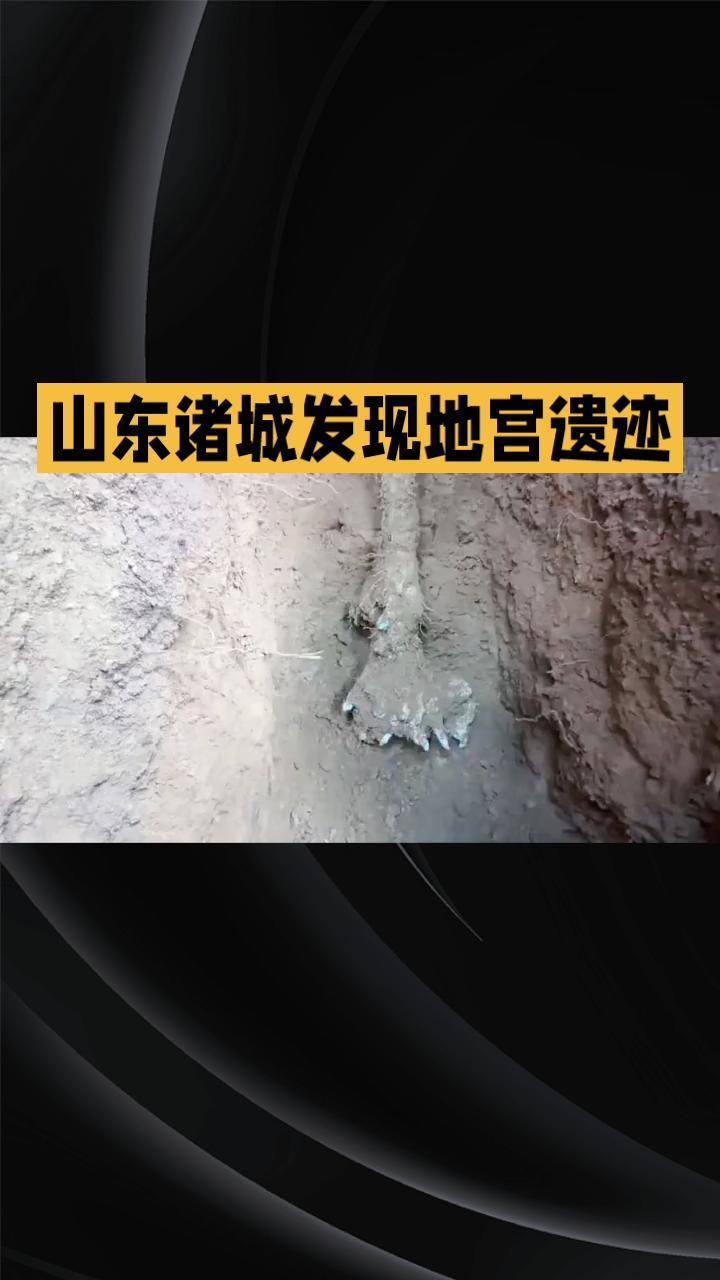 在山东诸城，山药竟然挖出了地宫的秘密？这一发现令人惊叹不已！
在山东诸城，人们通