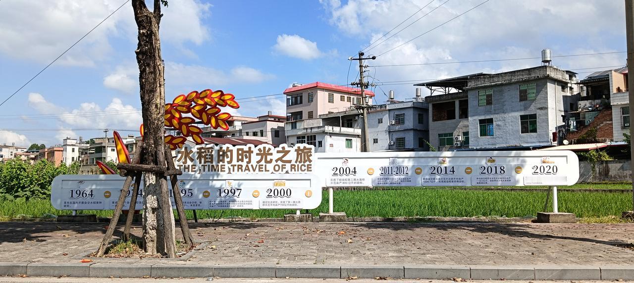 漳州市长泰区林墩——这是一则树立在石皮洋村农田示范区的广告牌，宣传我国自1964