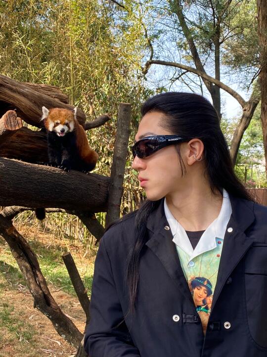 提前预习！五一节去动物园这样拍嘎嘎出片！