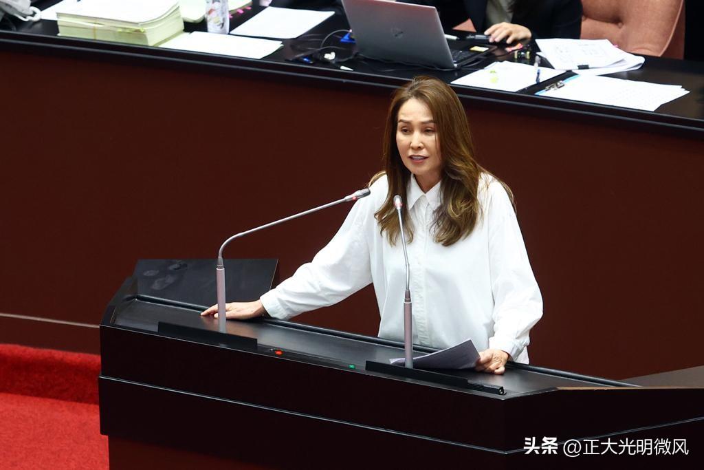 赖清德称“国民党比日本殖民还差”惹众怒｜高金素梅怒斥：冷血漠视原民血泪史

赖清