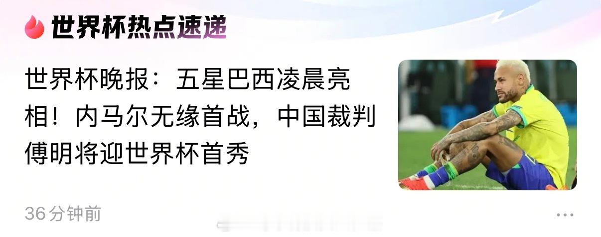 世界杯，我们能拿出来说的，也只剩裁判了。不知道他会不会披国旗上场。 匈牙利