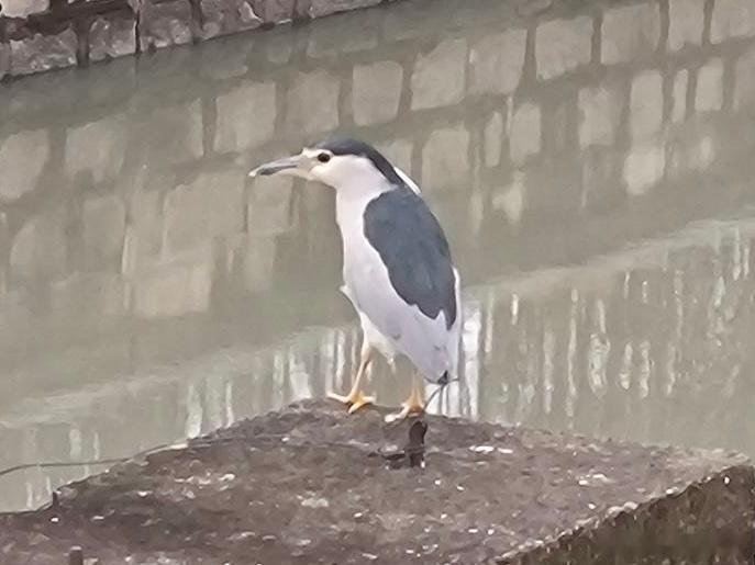 送分题环节～自信地说出它滴名字！ ​​​