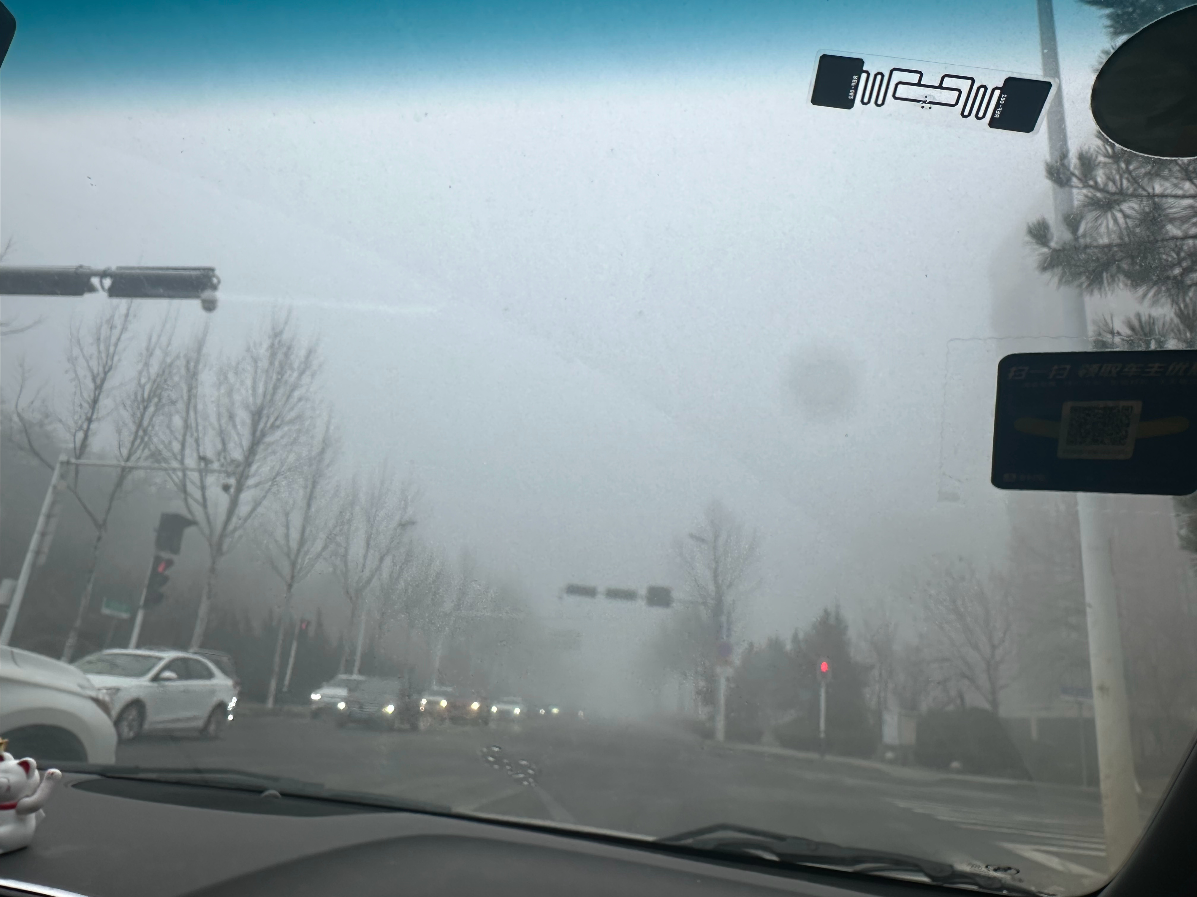 一条plog告别二月 今天这雾真大啊 