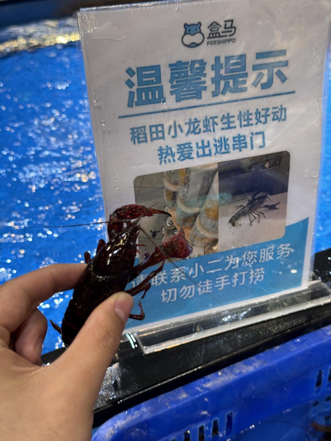 盒马你是懂抽象的