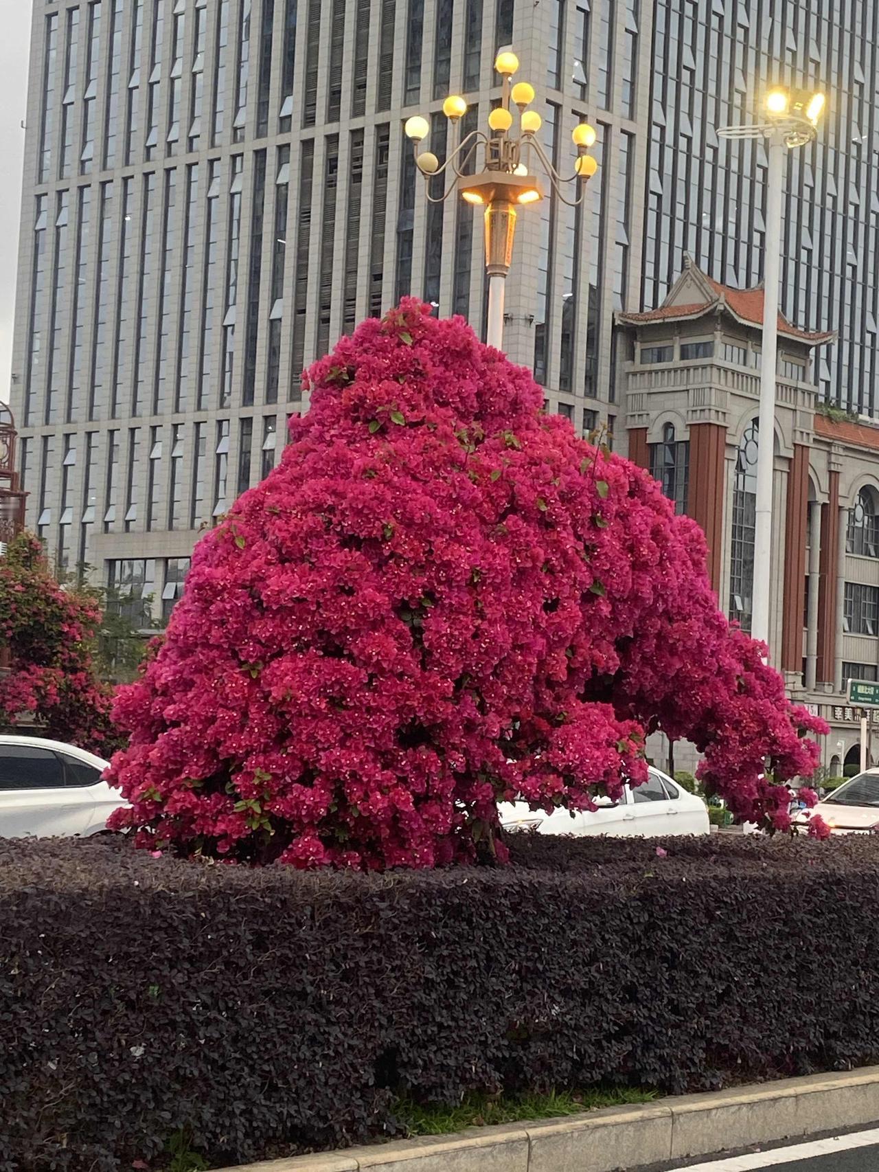 暑期到了，很多家长趁此机会纷纷带孩子去各地旅游。
各景区穿梭就会遇到一个打车问题