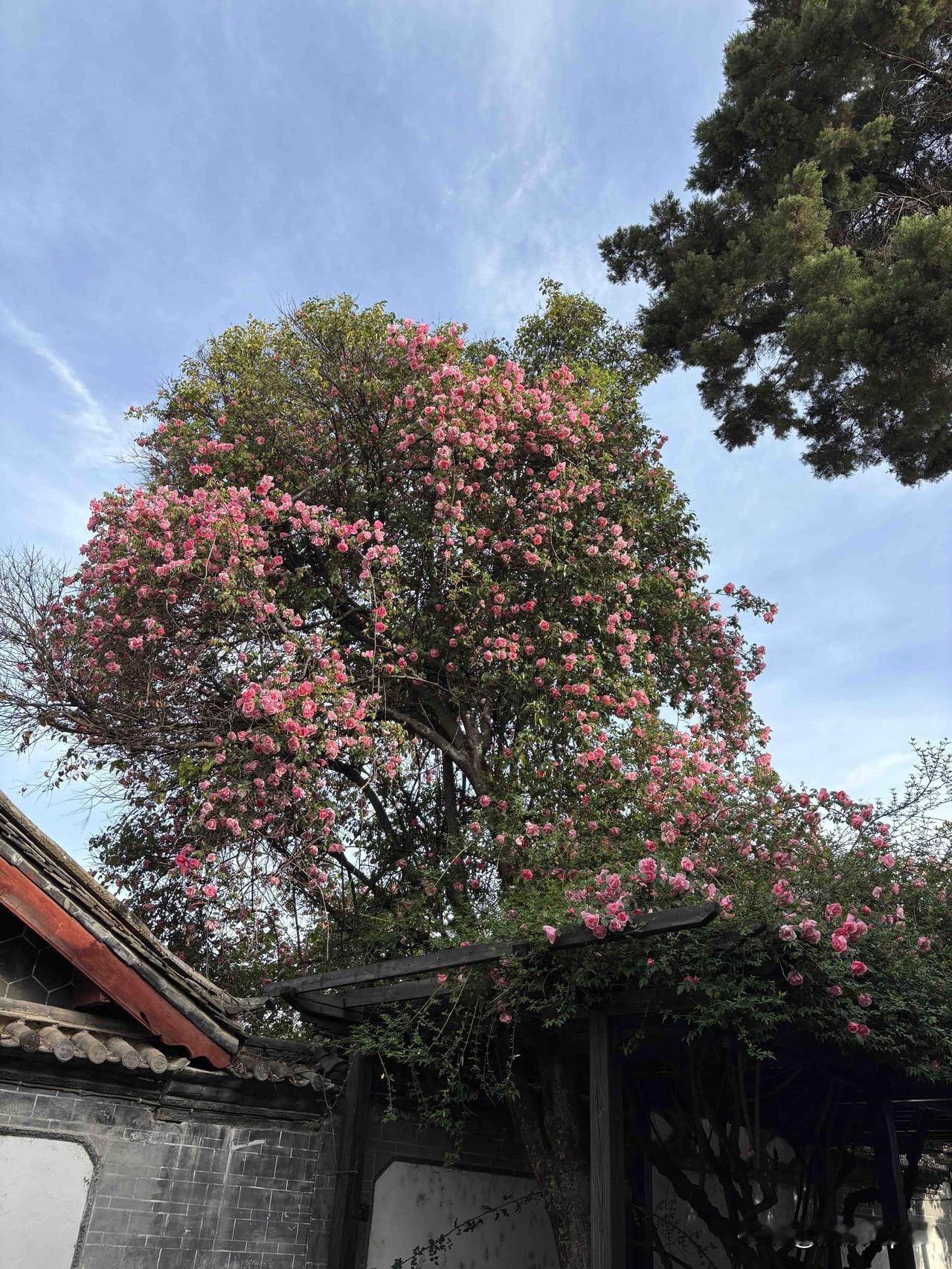 《万般皆过客，一切看淡……》

房子真的算得上固定资产吗？大家好好想一想，家族代