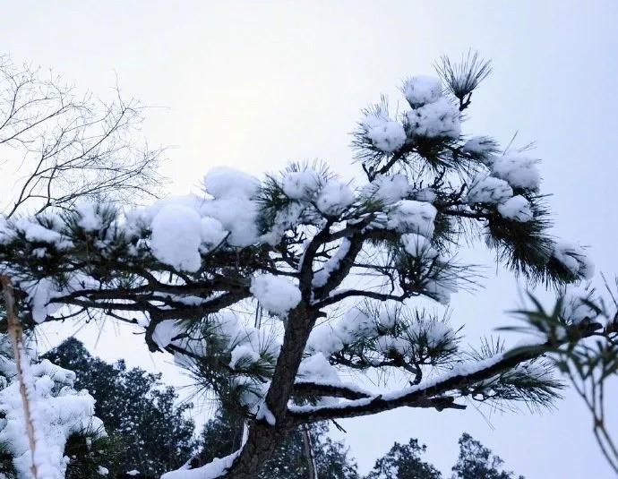 上联：秋霜落尽雁无影，安子邀对冬雪初来年有期。[握手][玫瑰][玫瑰]
上联的秋