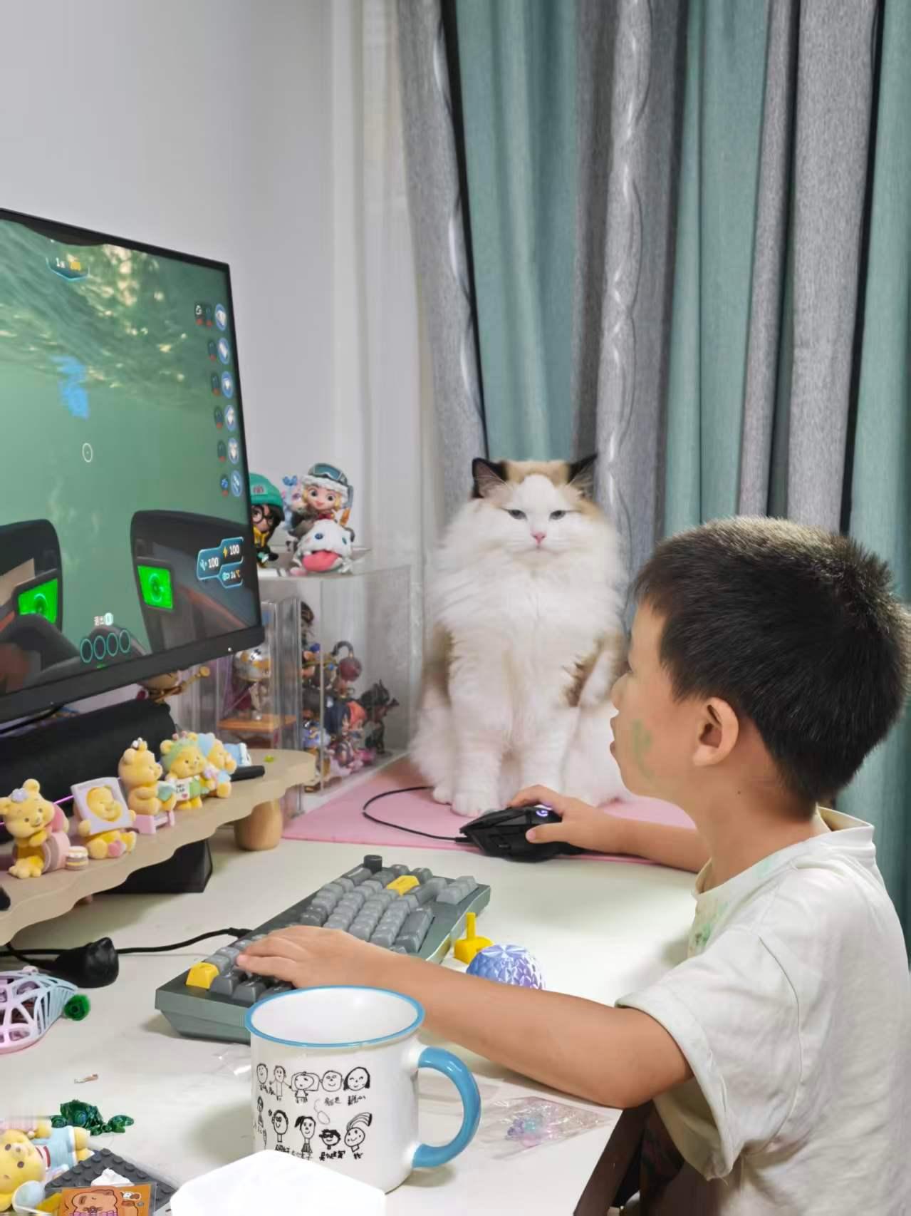 狗子：还有三天开学，好日子马上就来了 ​​​