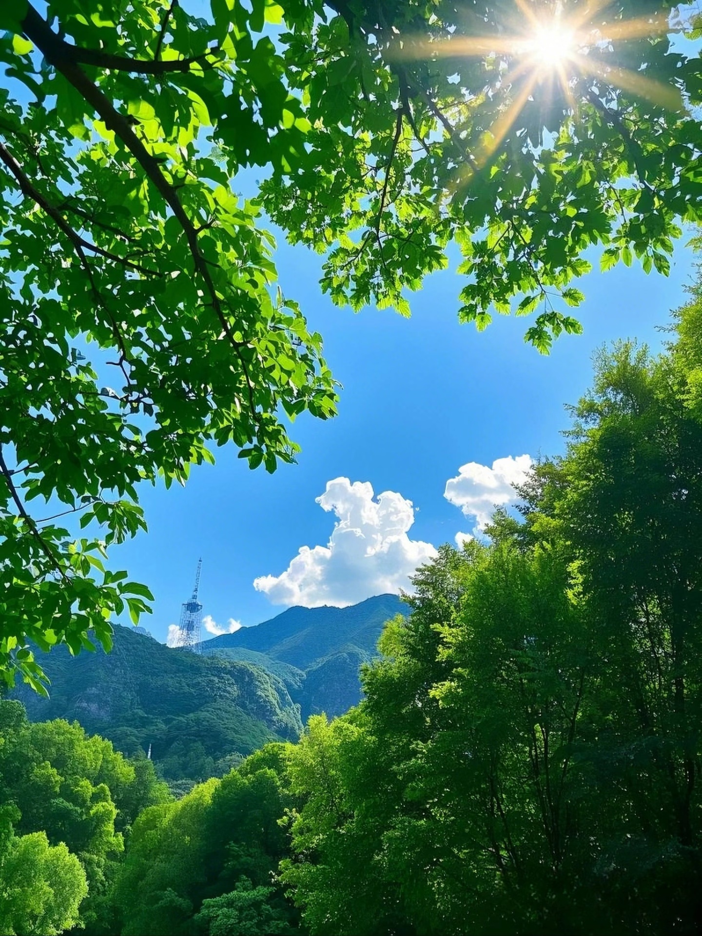 你的心态，就是你人生的模样。选择阳光，便会遇见阳光；选择向上，自会抵达高处。人生