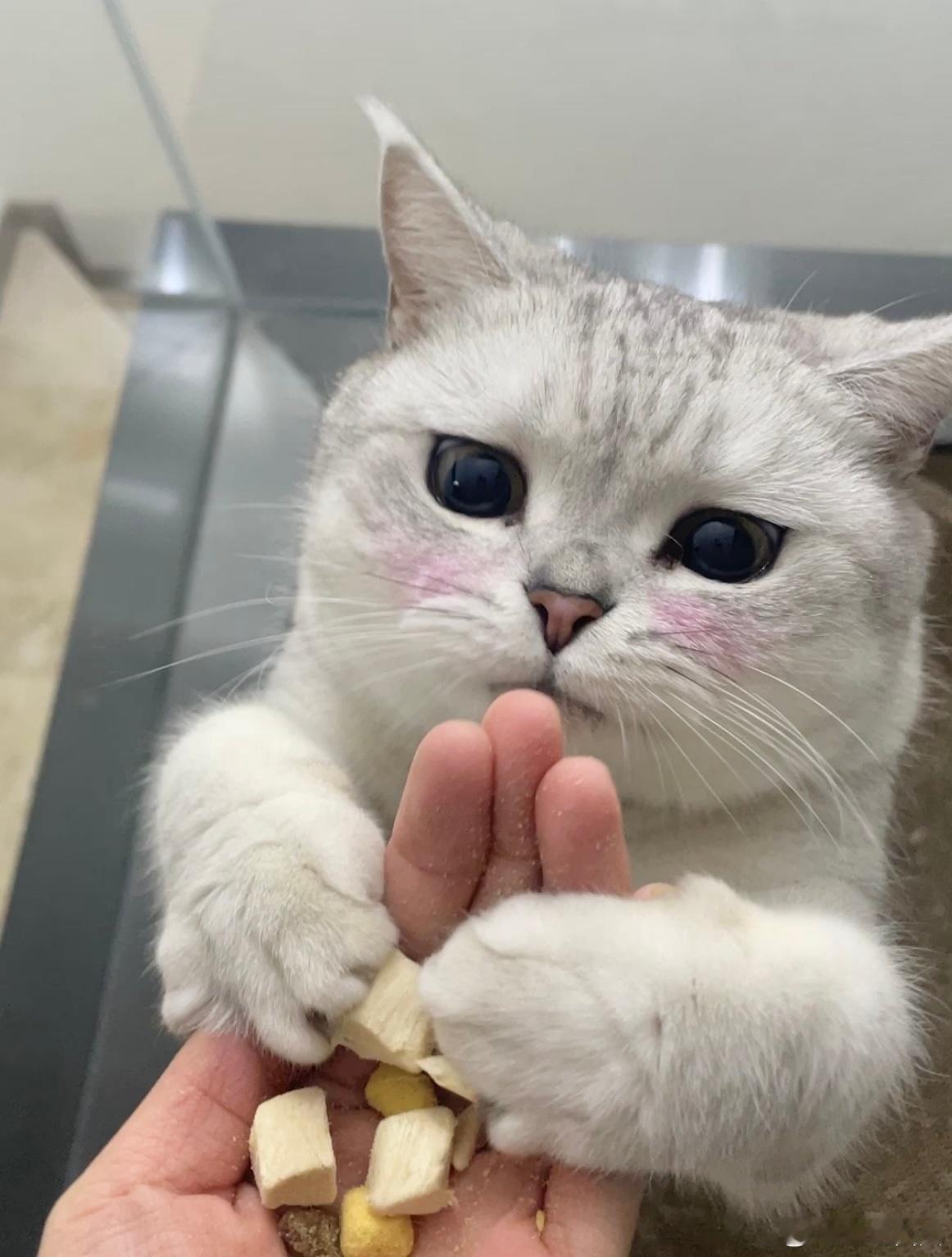 库存捞捞 ​​​