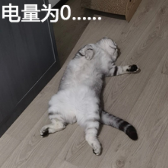 五一出游人为了充电能有多努力 五一出游人均充电特种兵！刷到网友为了续命，让男友当