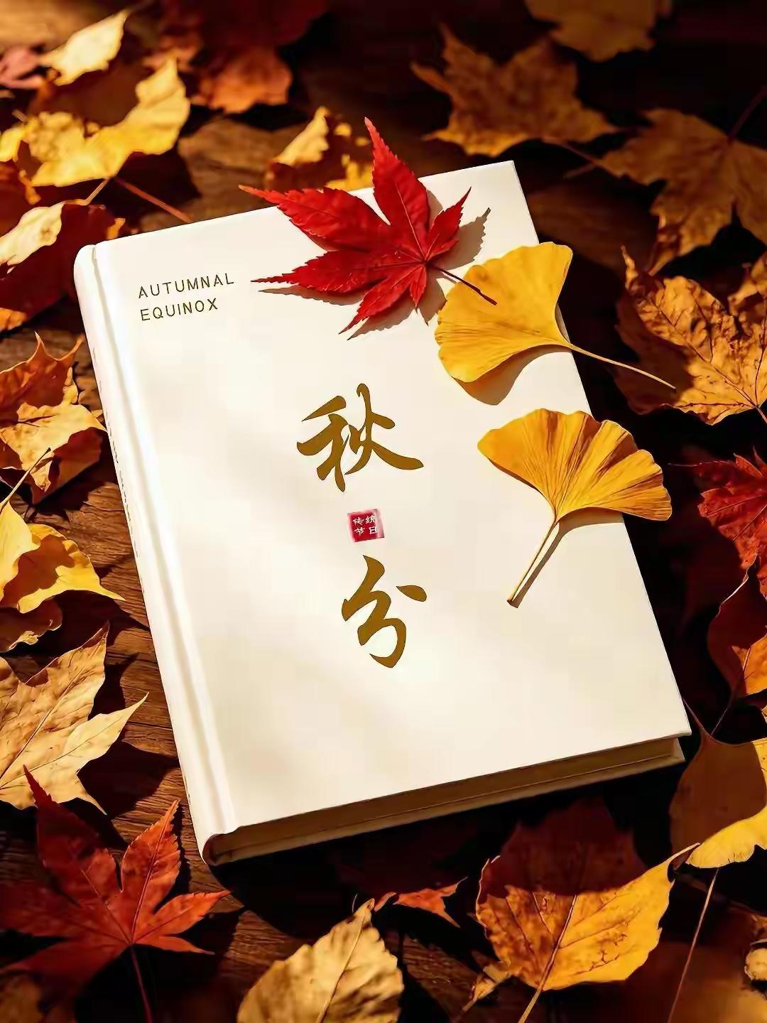 明日秋分，美妙秋韵，昼夜始平分，寒暑各一半。秋风瑟瑟，黄叶地，阳光温柔，落期许。