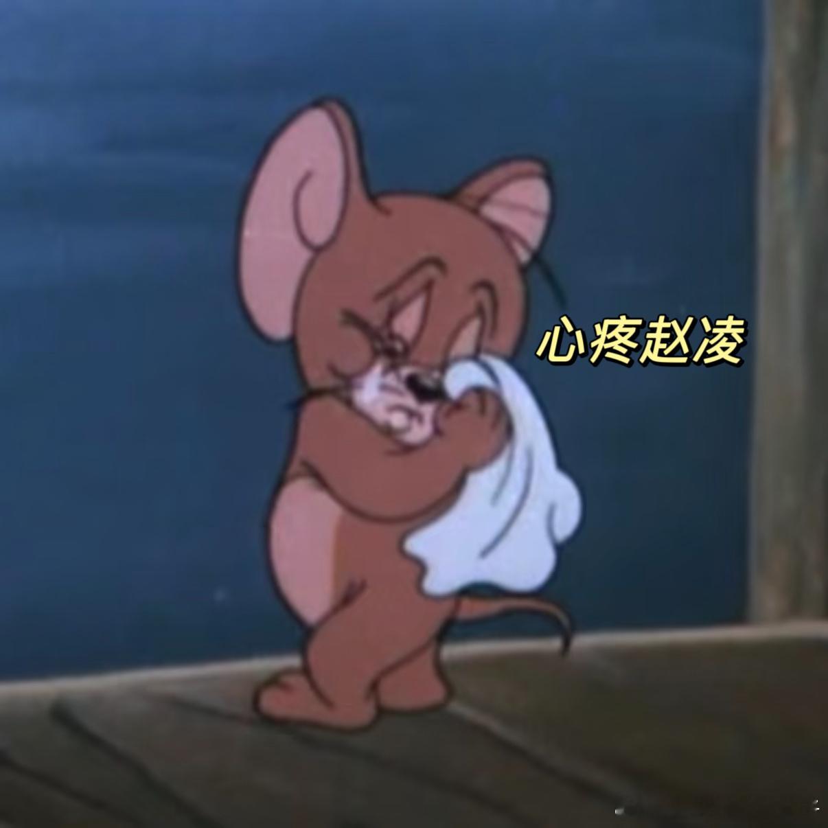 赵凌雨中下跪求娶傅庭芸 赵凌不是软弱，恰恰是爱得足够深沉才敢放下骄傲，朝堂之上什