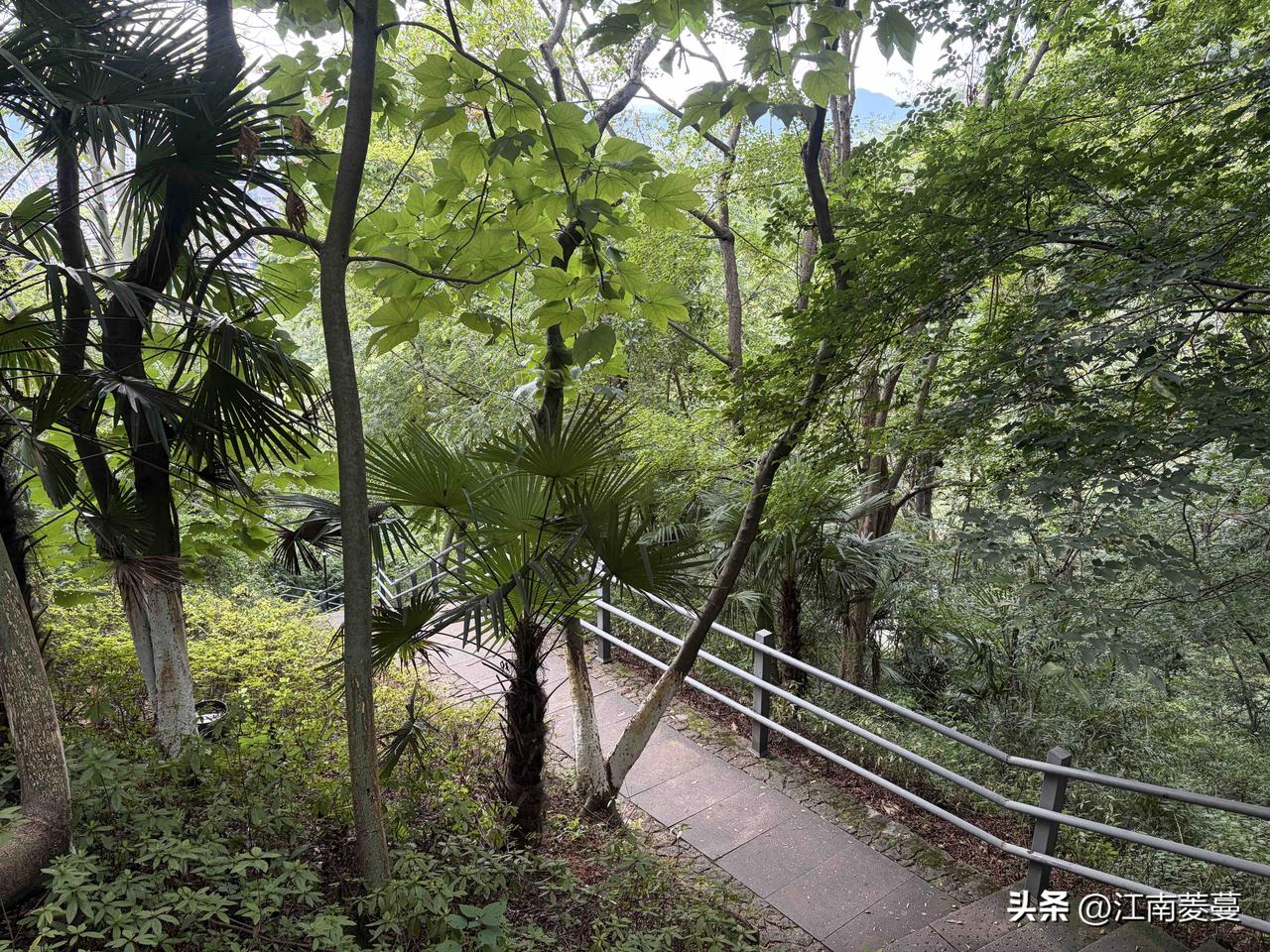 以前看港剧很喜欢看他们明星去爬山，这周正好有闲暇时光，来爬宝塔山（功臣山）。
