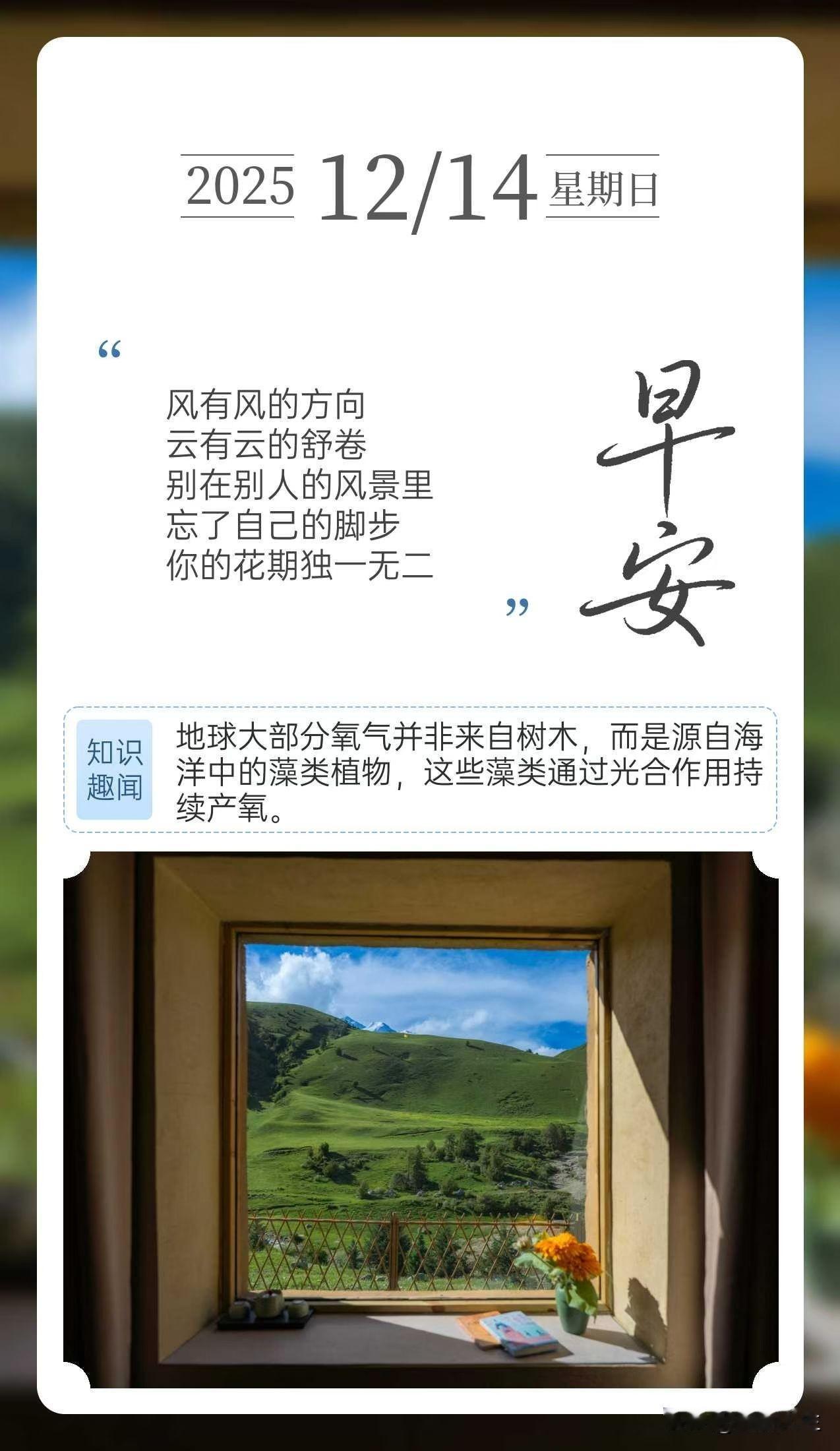 风有风的方向
云有云的舒卷
别在别人的风景里
忘了自己的脚步
你的花期独一无二[